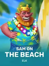 Sam on the Beach