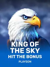 King of the Sky: Hit the Bonus