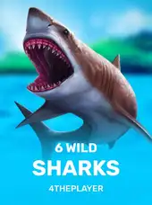 6 Wild Sharks